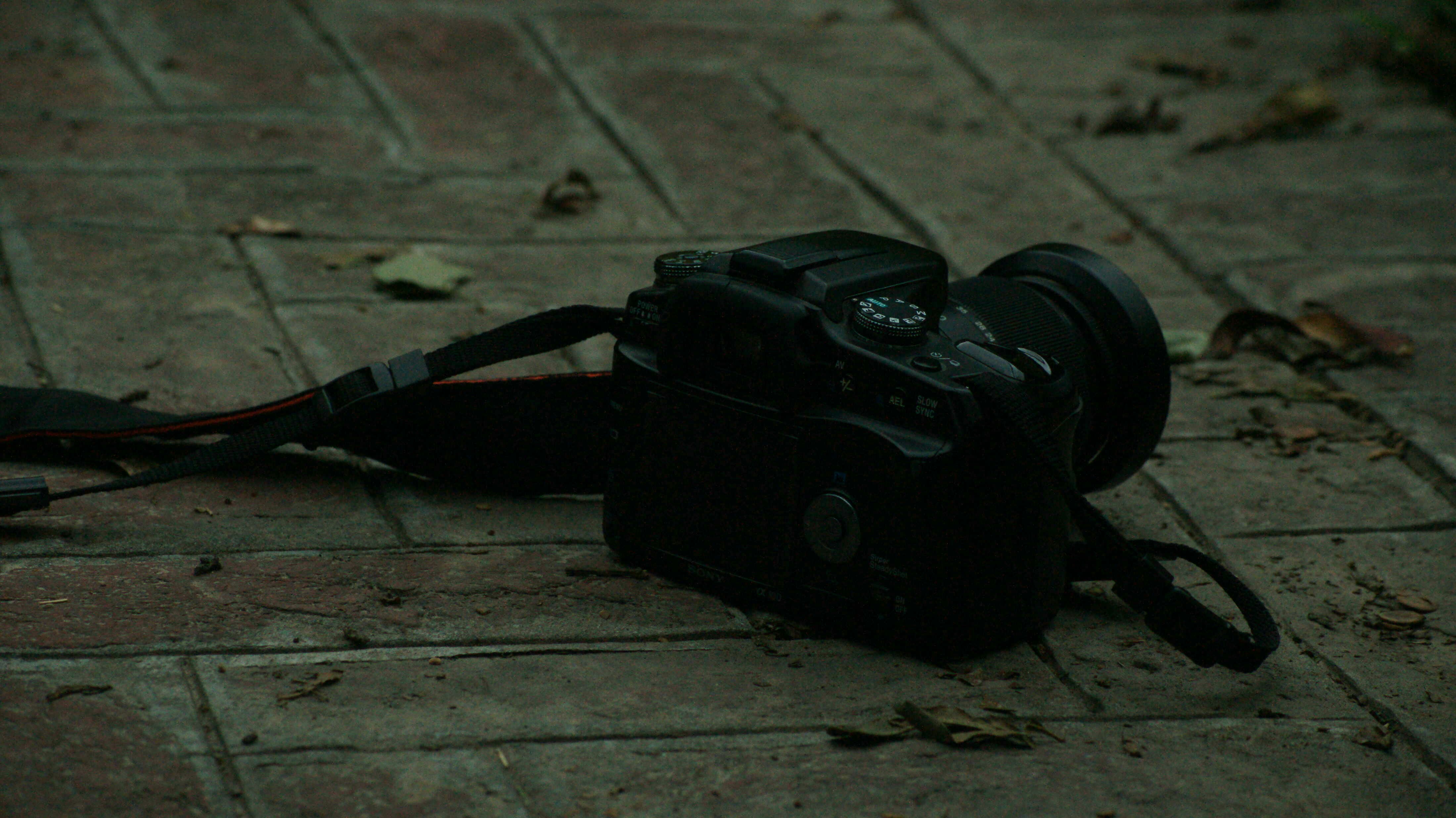 Go to Behzad Hassan's profile