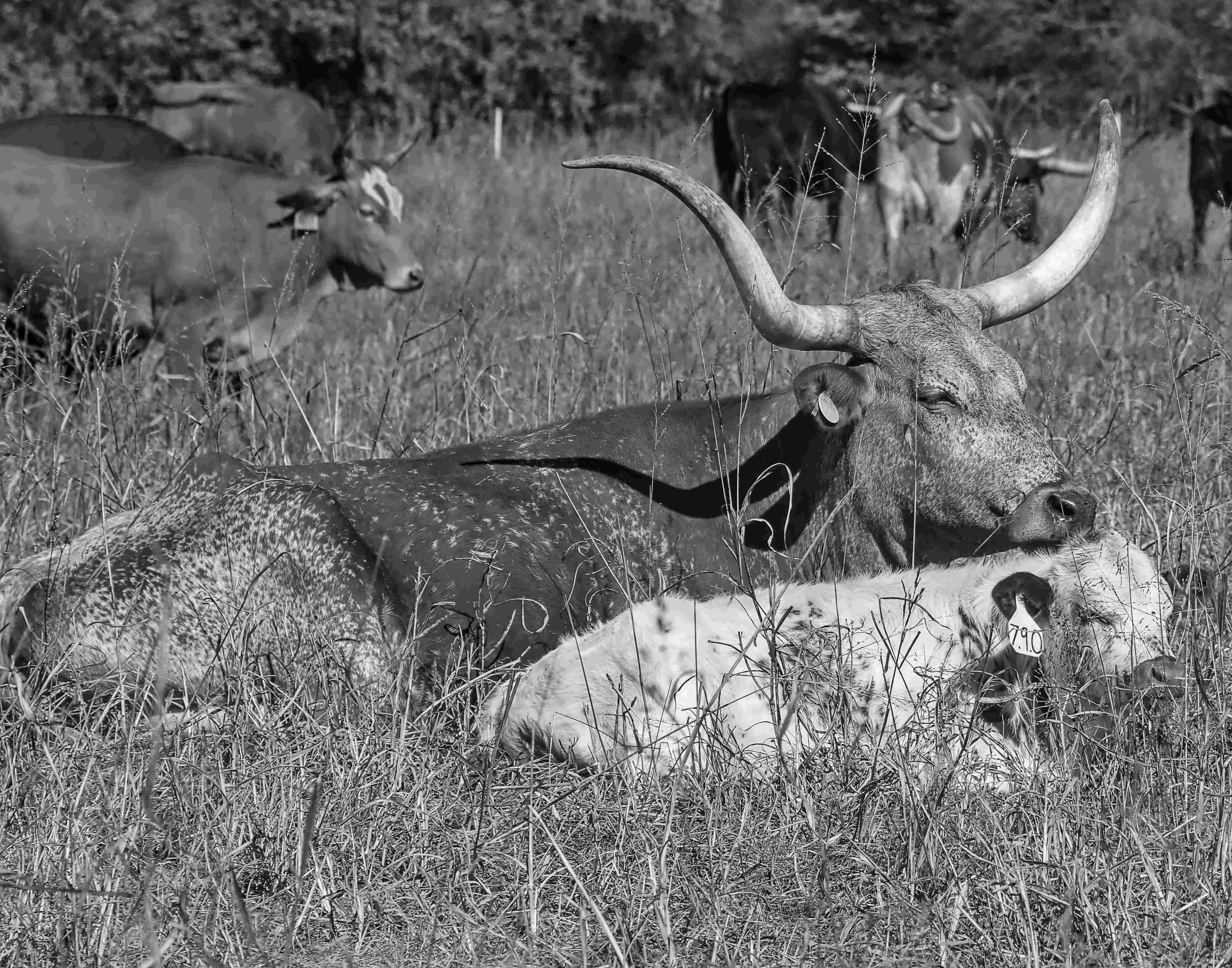 Go to Sikes Photos's profile