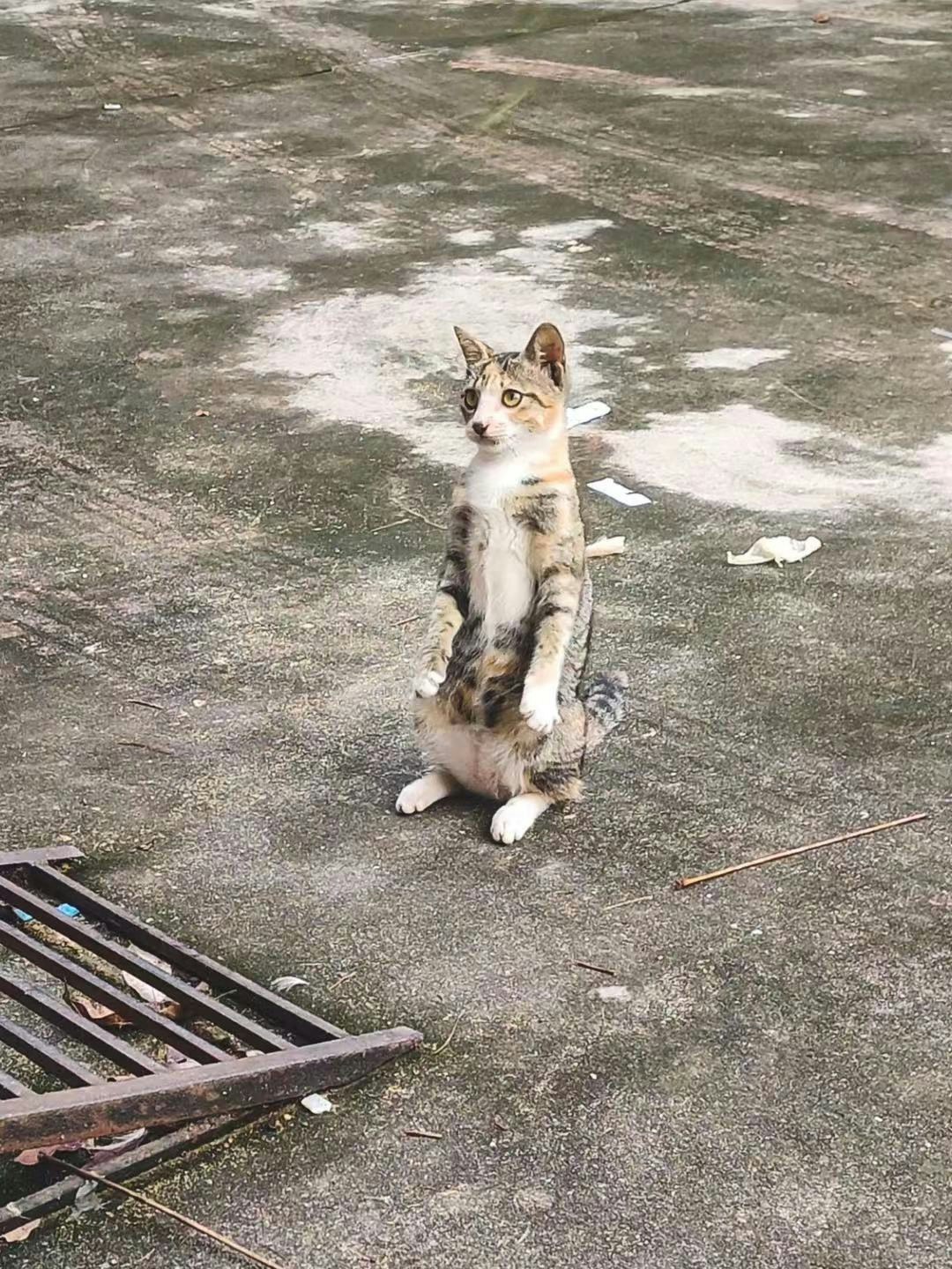 Avatar of user LI WEIBIN