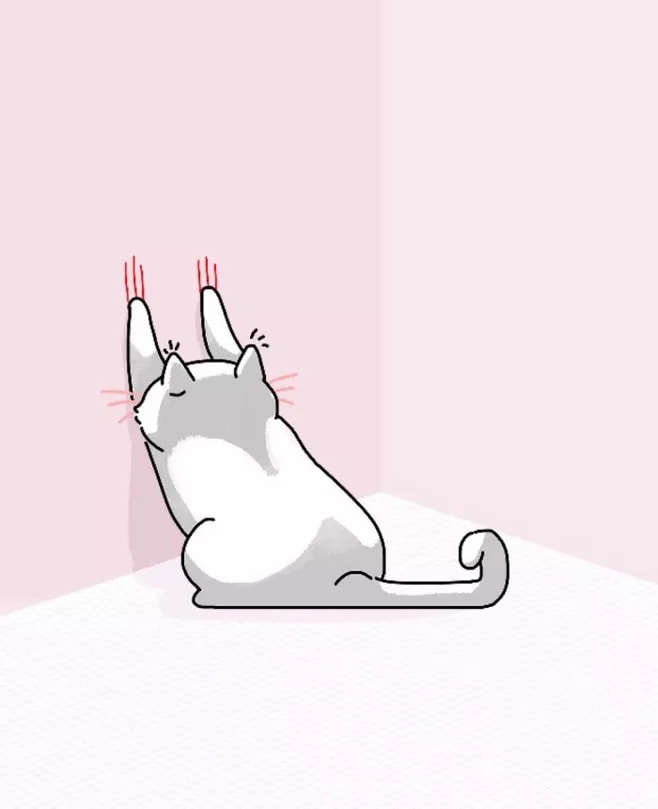 Accéder au profil de aoao