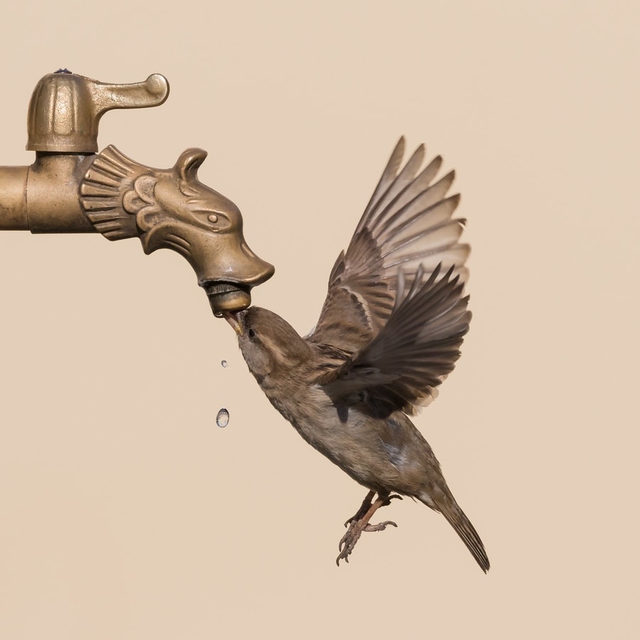 Go to Włodzimierz Jaworski's profile