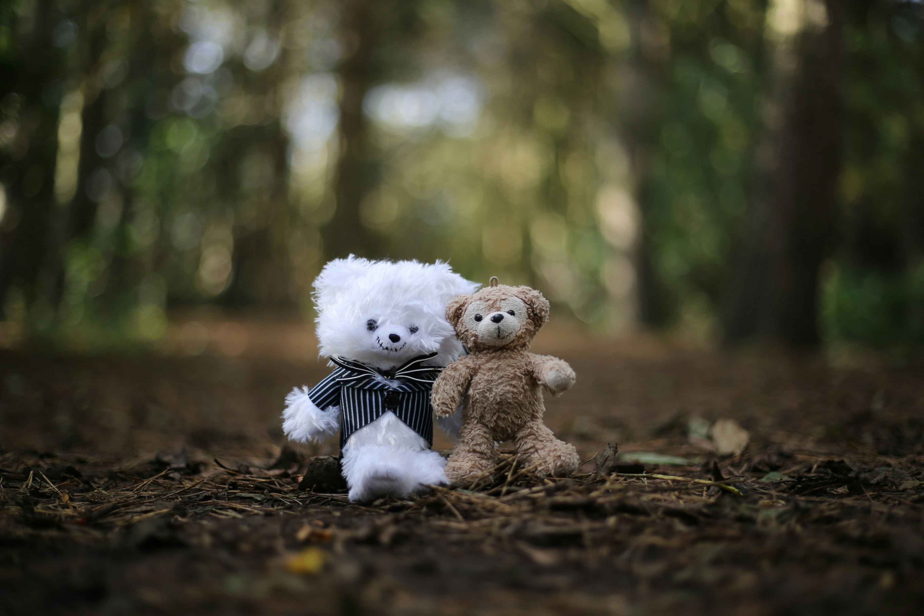 Go to Lydia Turner's profile