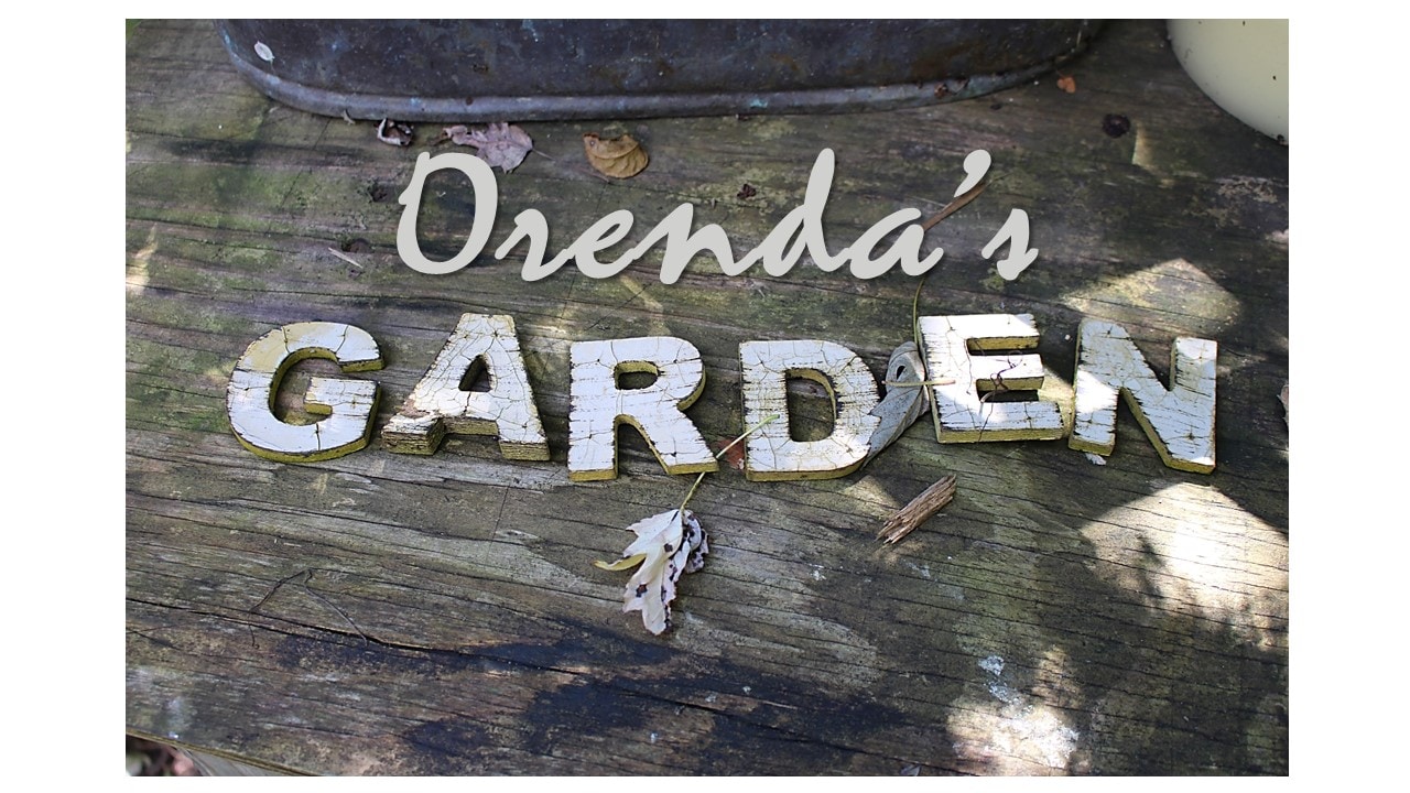 Accéder au profil de Angela Orenda