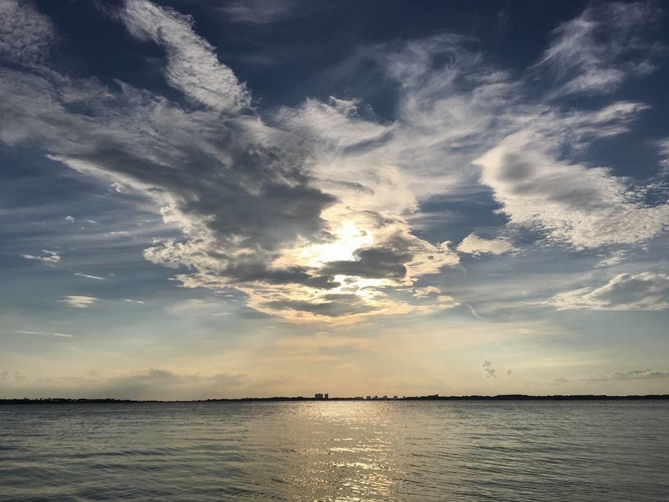 Go to Laura Alvarez's profile