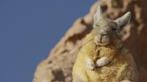 Go to Sidney Ding's profile