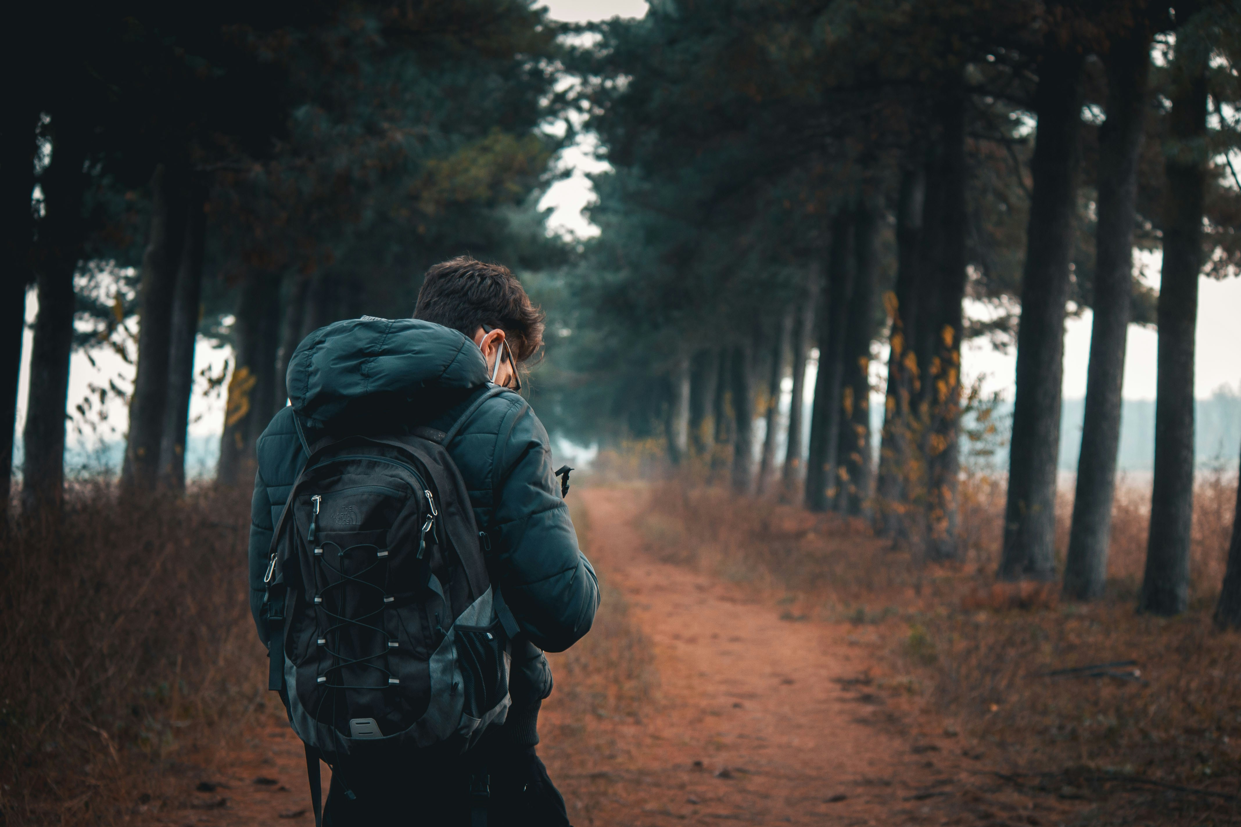 Zum Profil von Luca Cassani