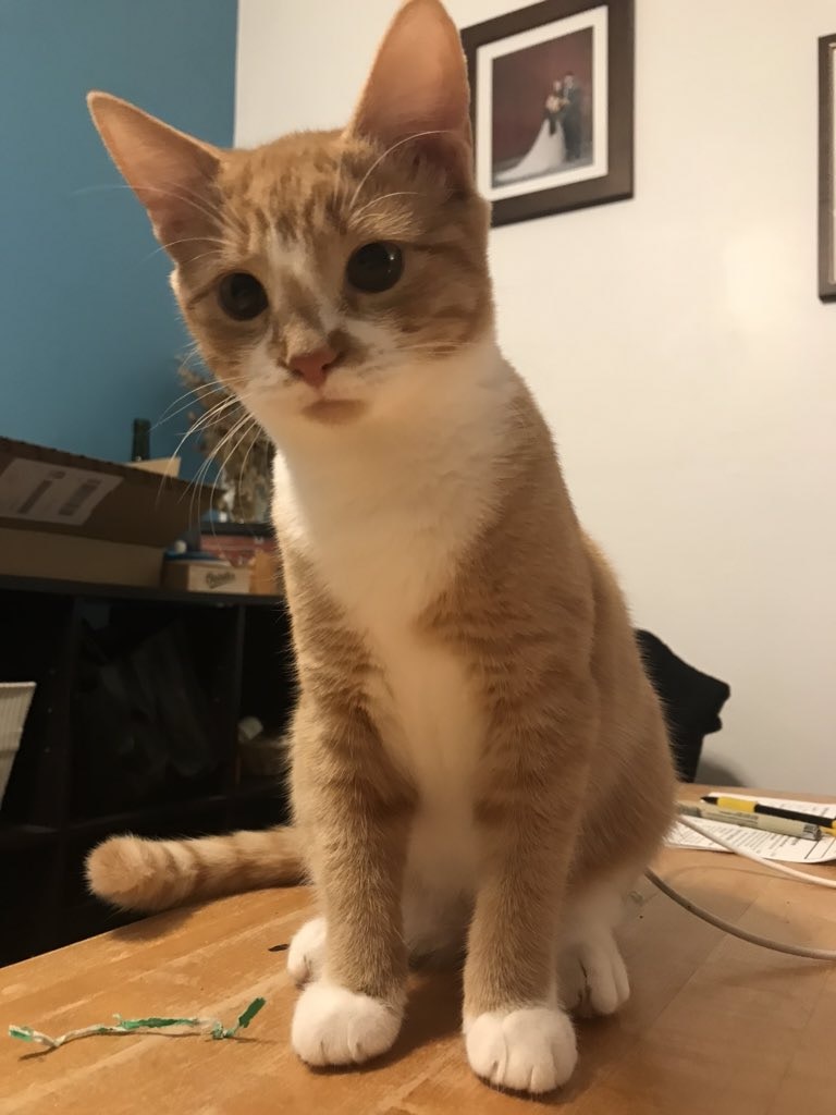 Ve al perfil de LJ Coates