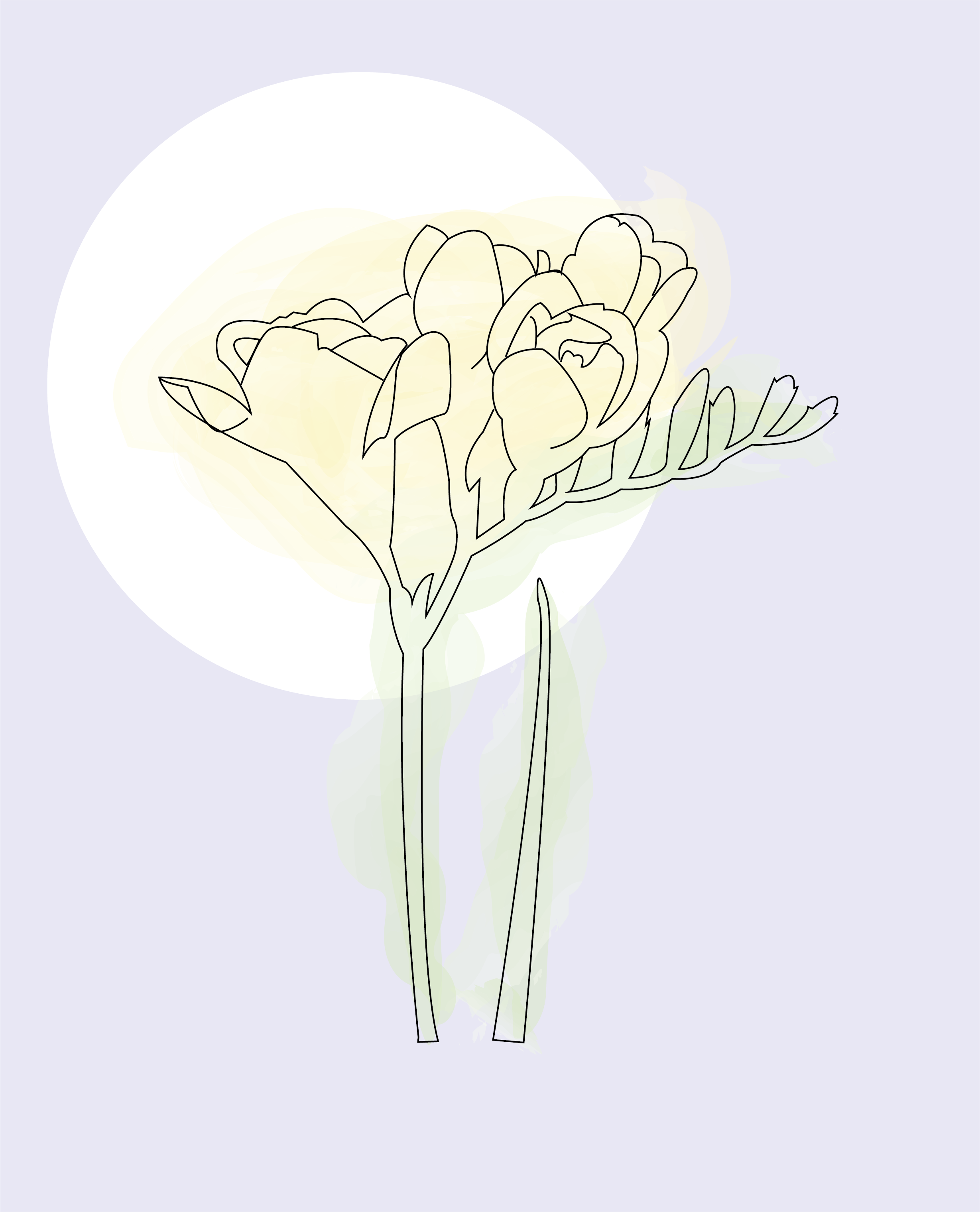 Go to Safura Syed's profile