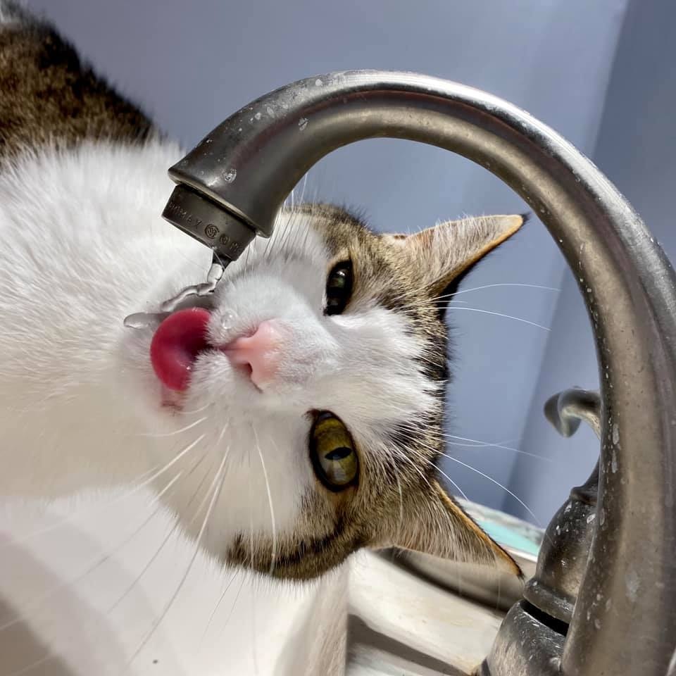 Go to Matthew TenBruggencate's profile