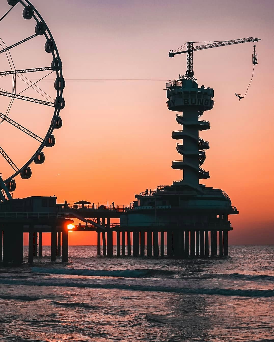 Go to The Free Birds's profile