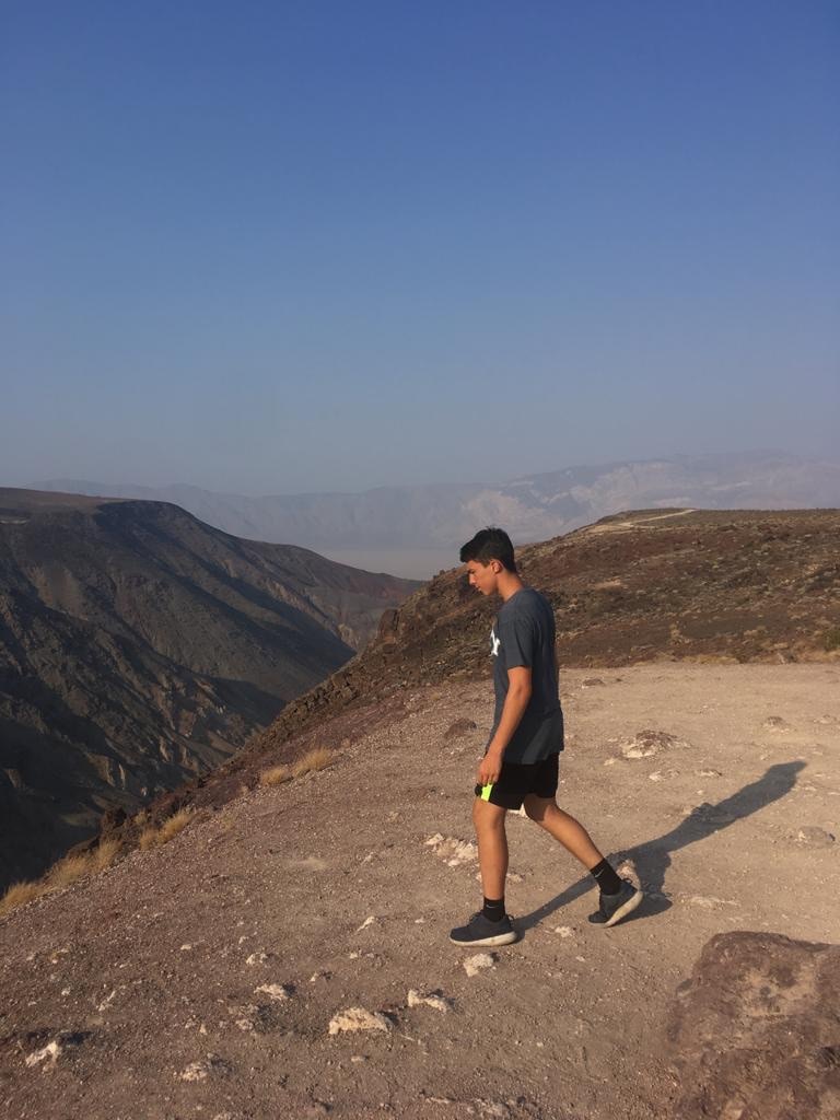 Zum Profil von Karl Werner