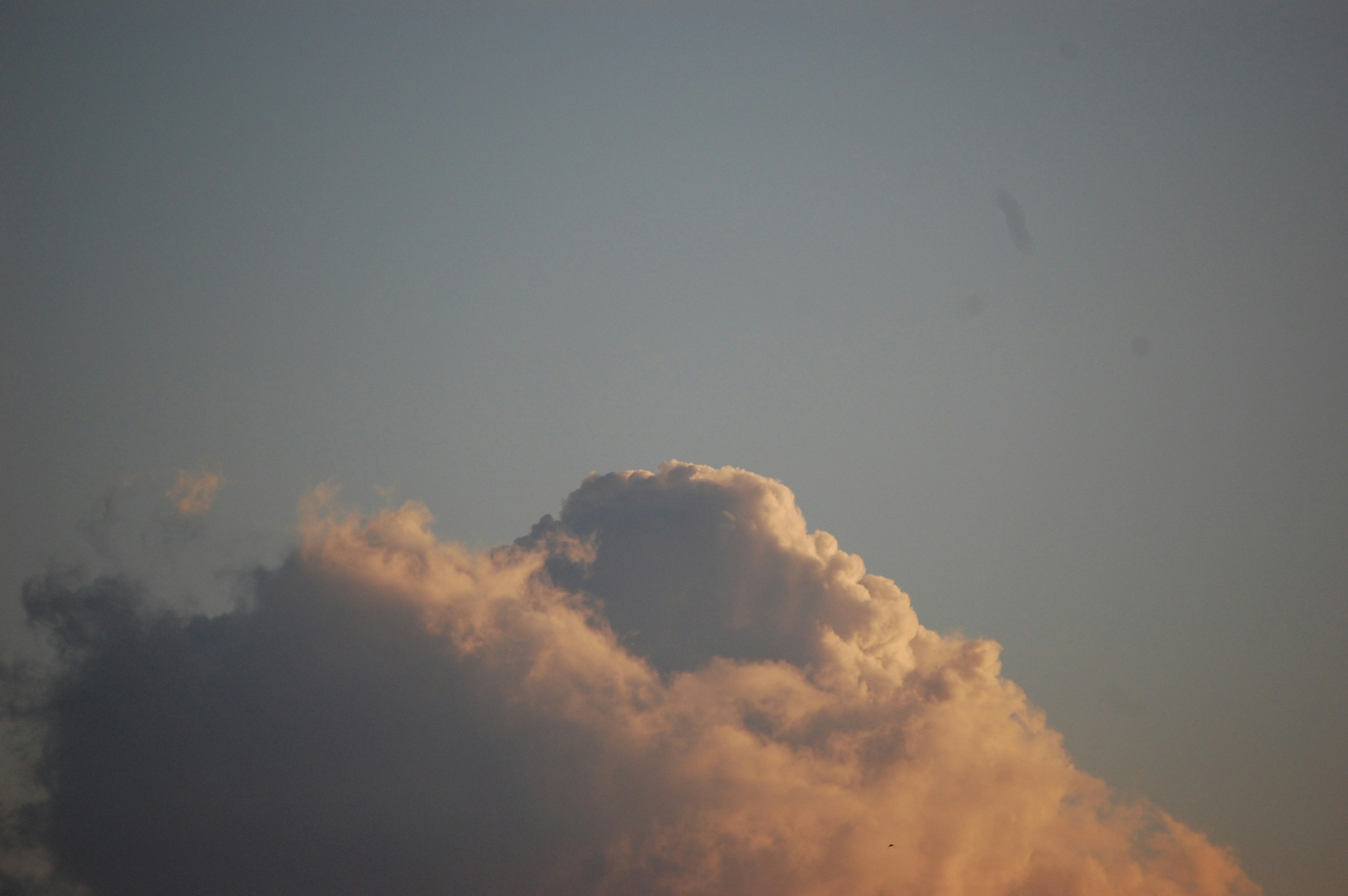 Go to Michiel van Kaam's profile