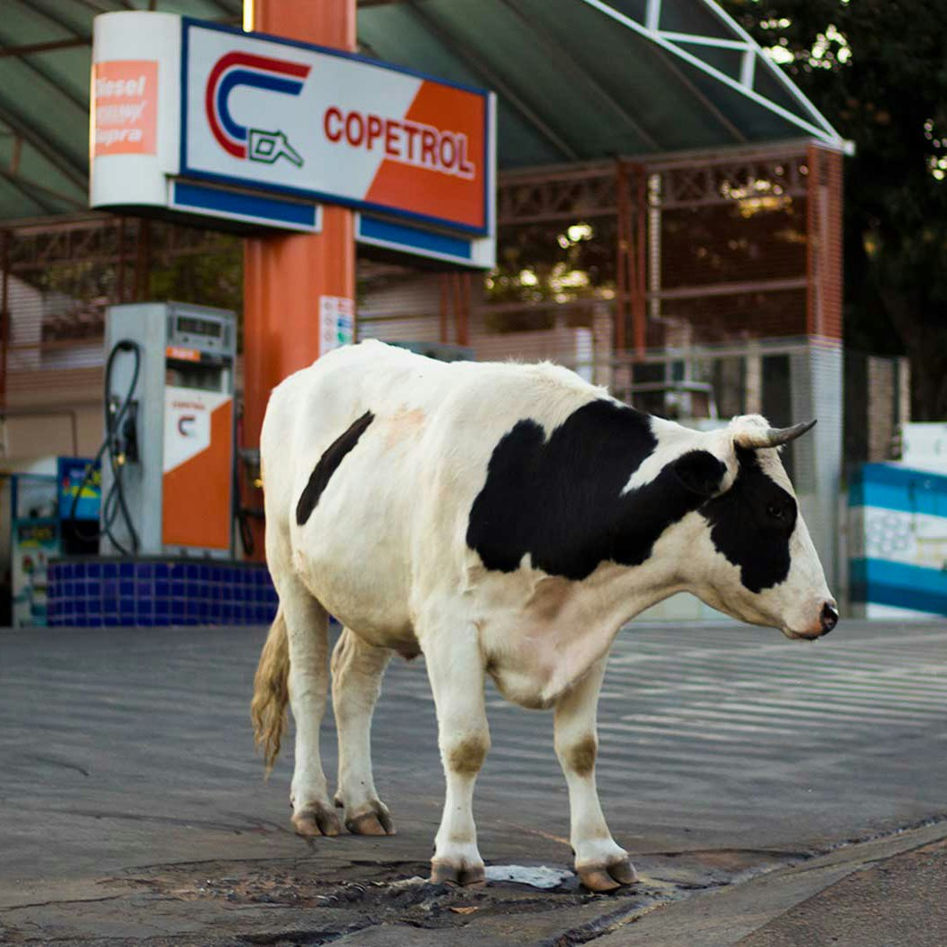 Go to ia huh's profile