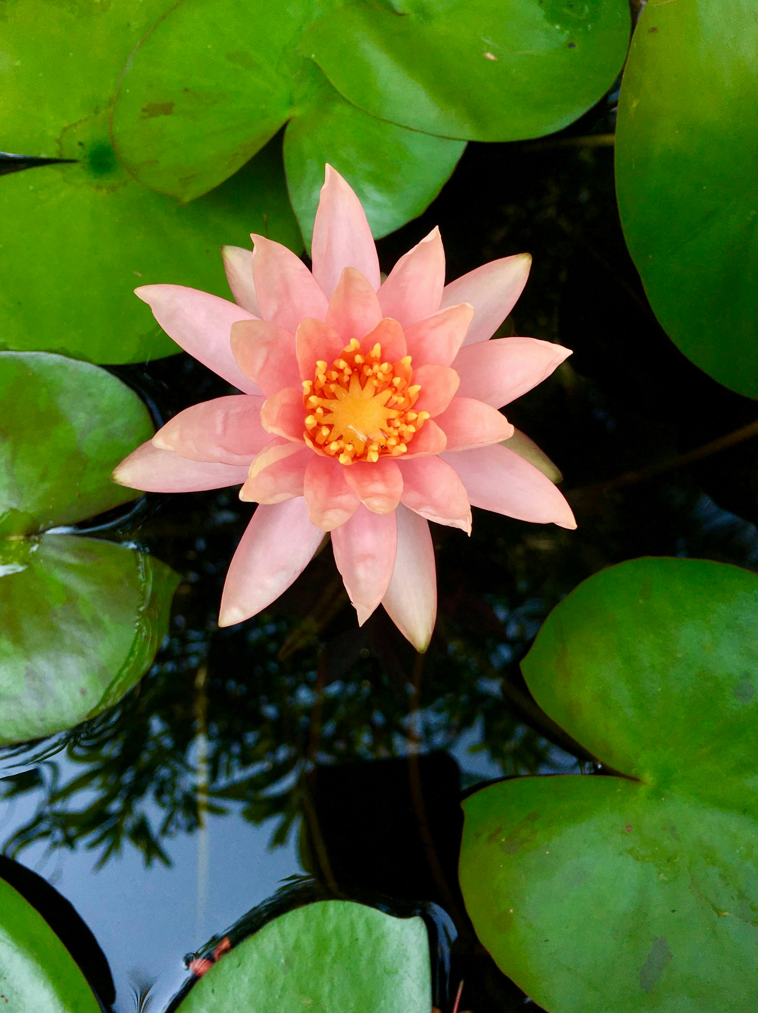 Vai al profilo di SandyBeaches