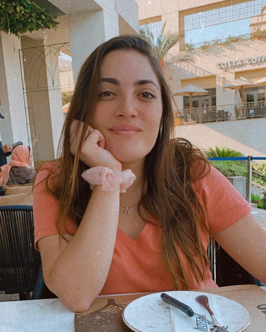 Go to Nariman Mesharrafa's profile