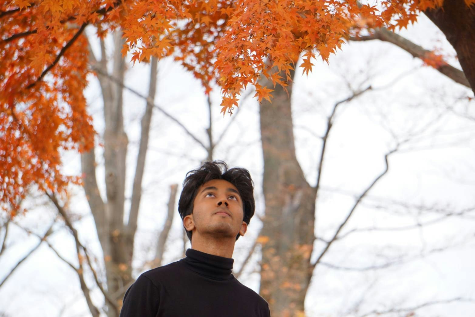 Go to Jayasurya Sakamuri's profile