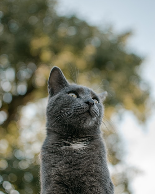 Go to Ursa Bavcar's profile