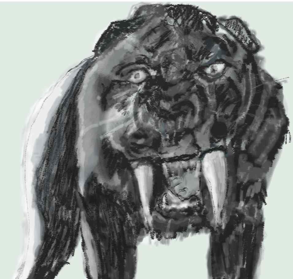 Avatar of user Noman Bukhari