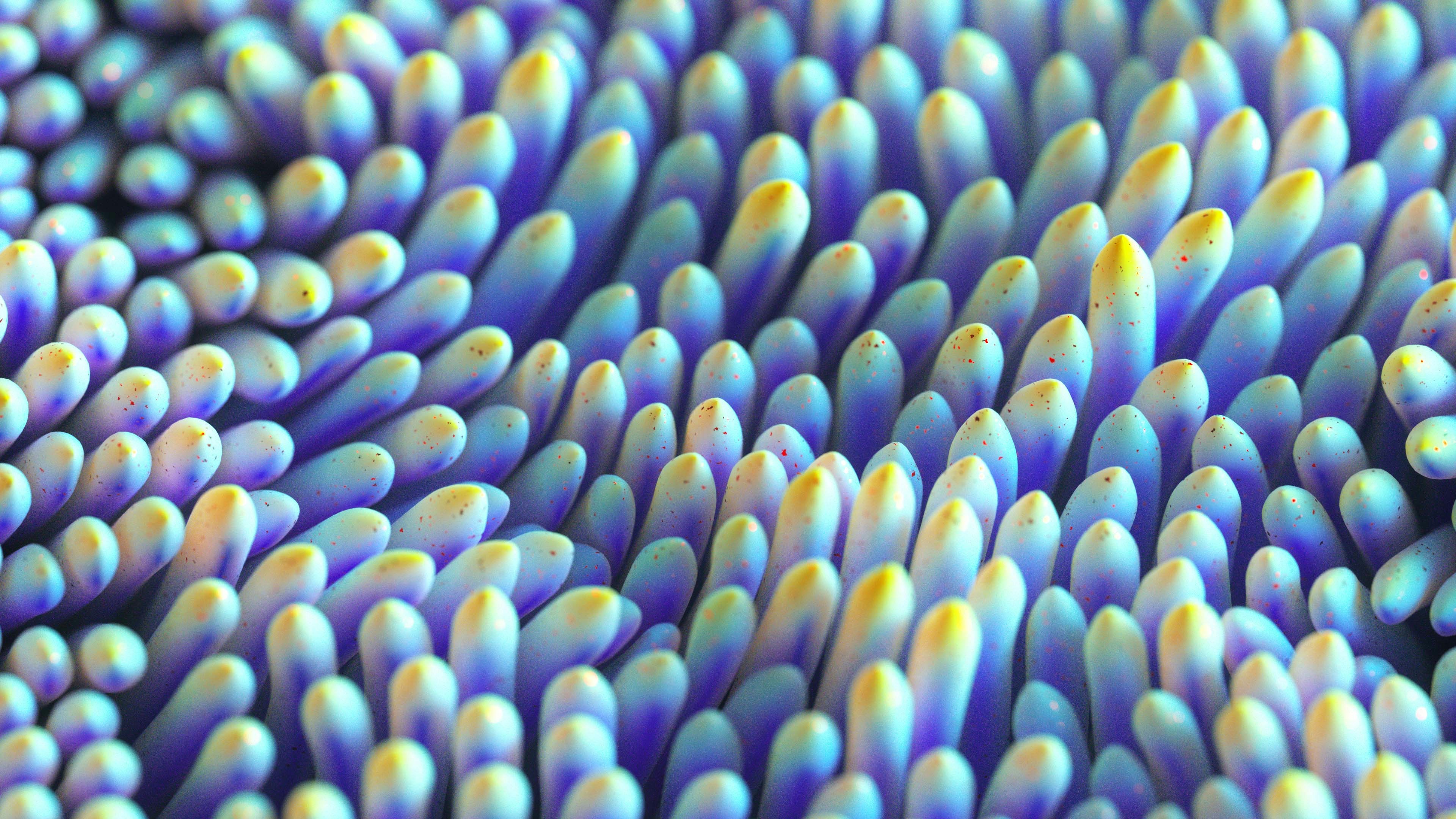 Zum Profil von Tushar Sahdev