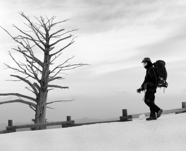 Go to Seongtaek Chee's profile