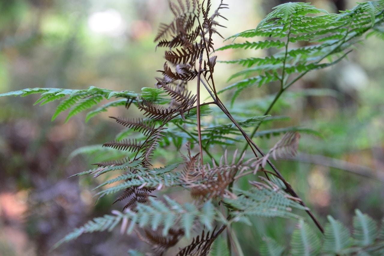 Go to rodrig moss's profile