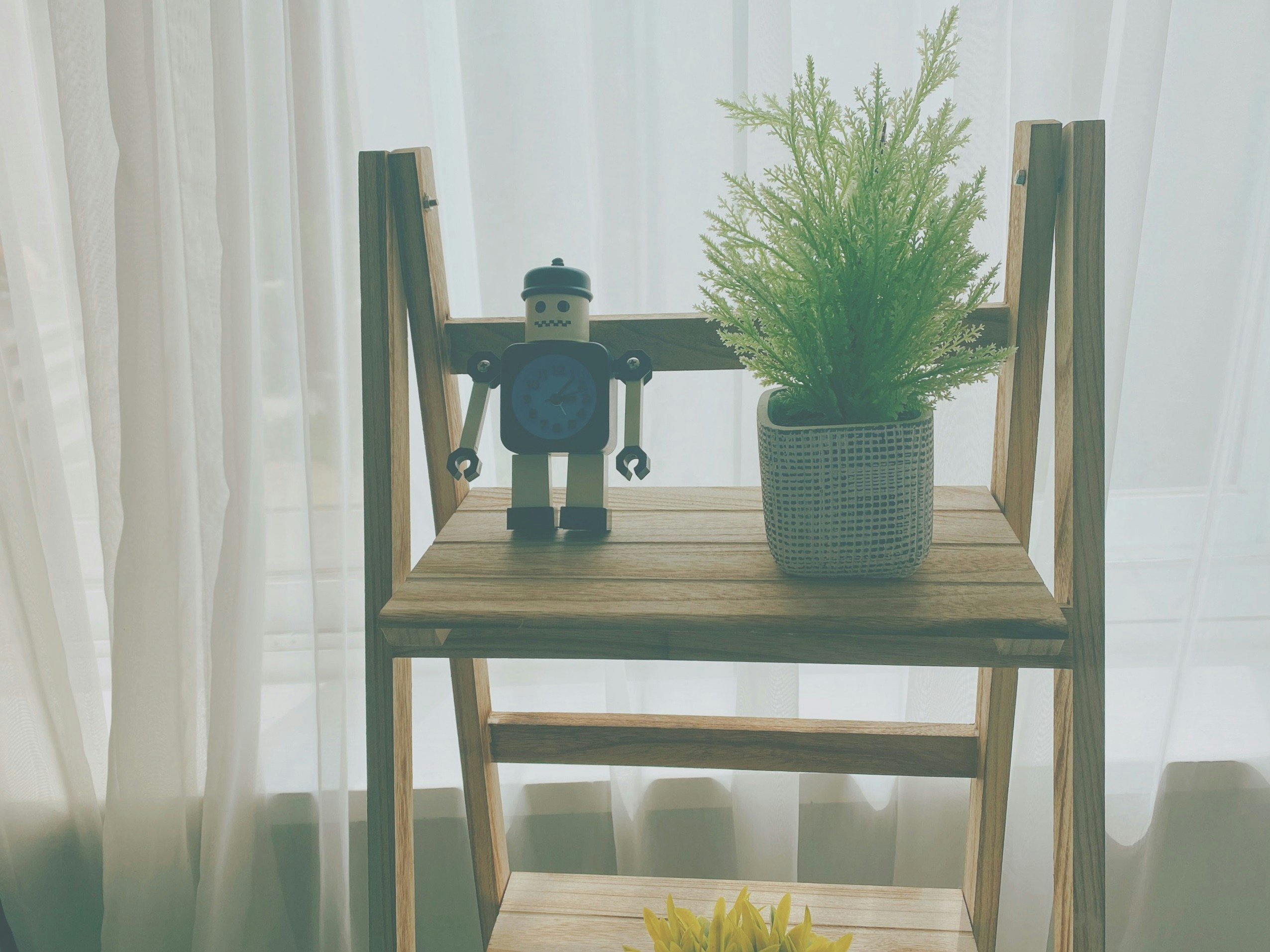 Go to Vanessa's profile