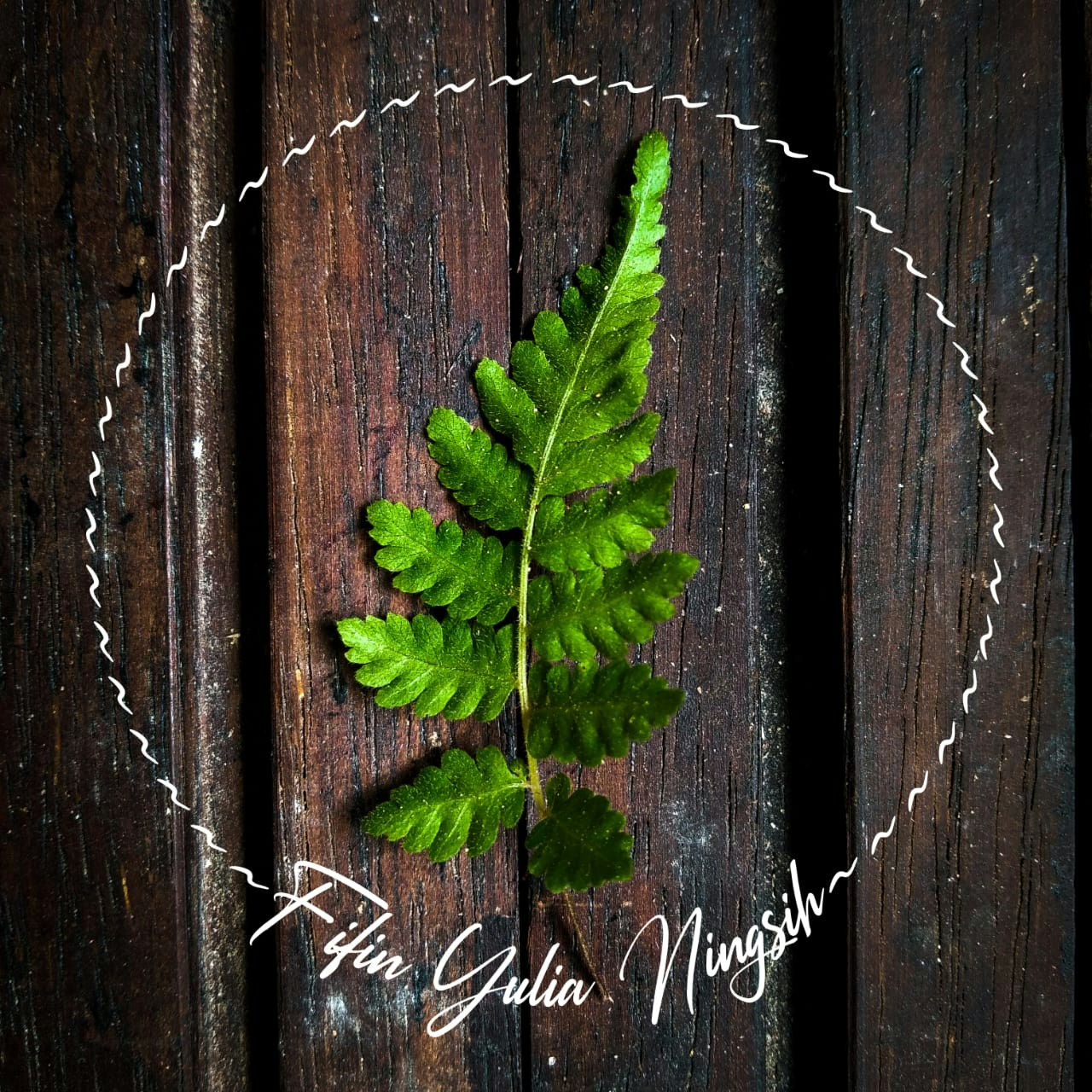 Go to Fifin Yulia Ningsih's profile