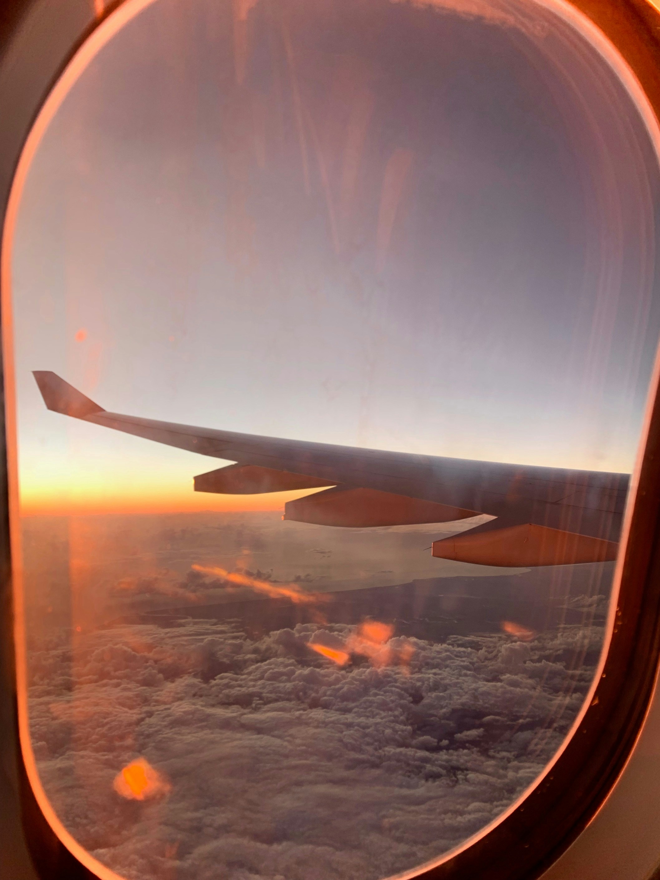 Go to Valentina Vega's profile