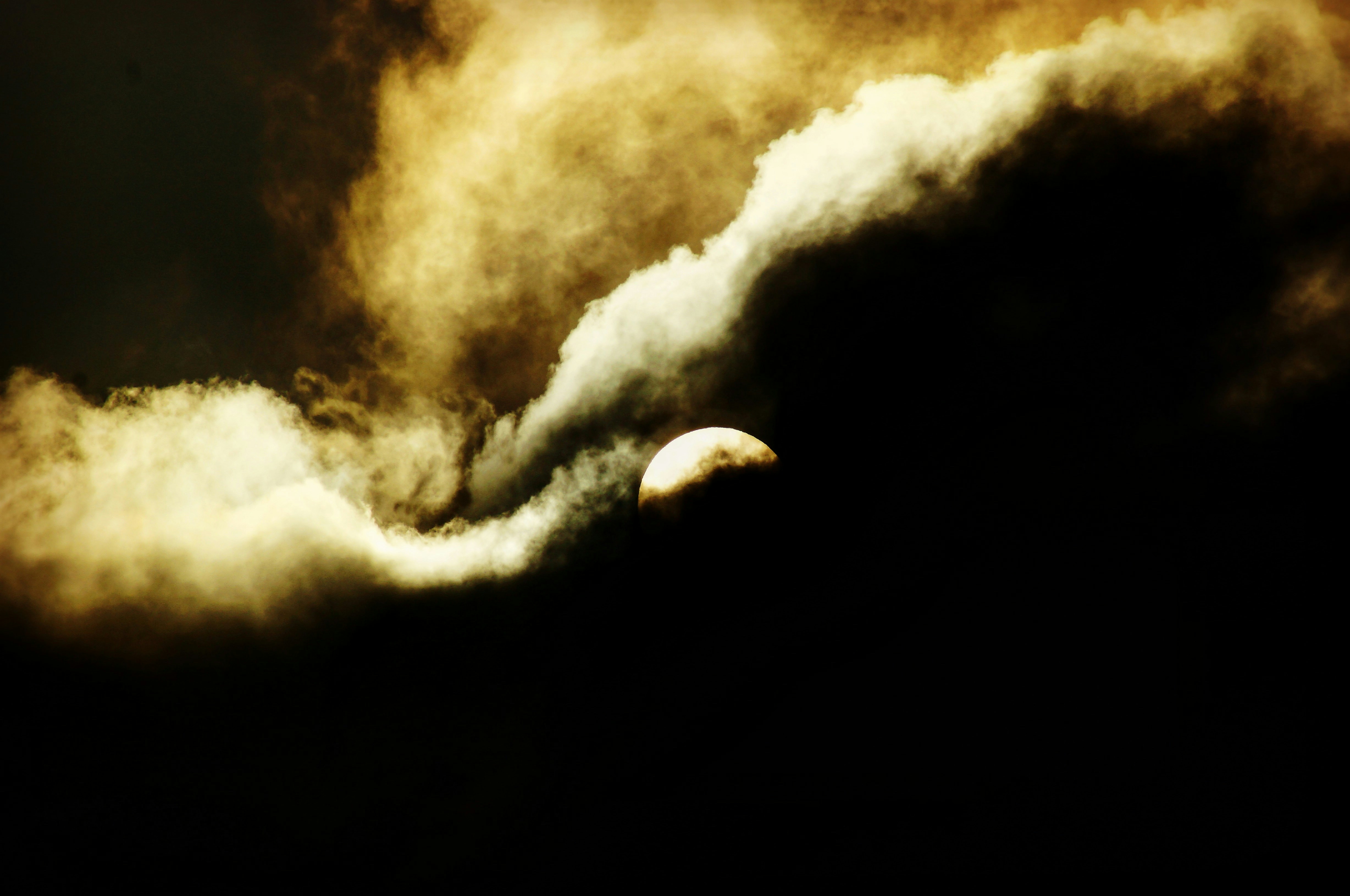 Pavel Danilovのプロフィールを見る