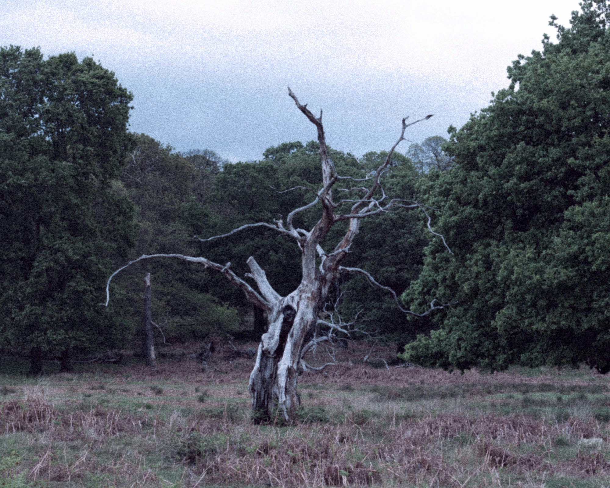 Go to John Gonzales's profile