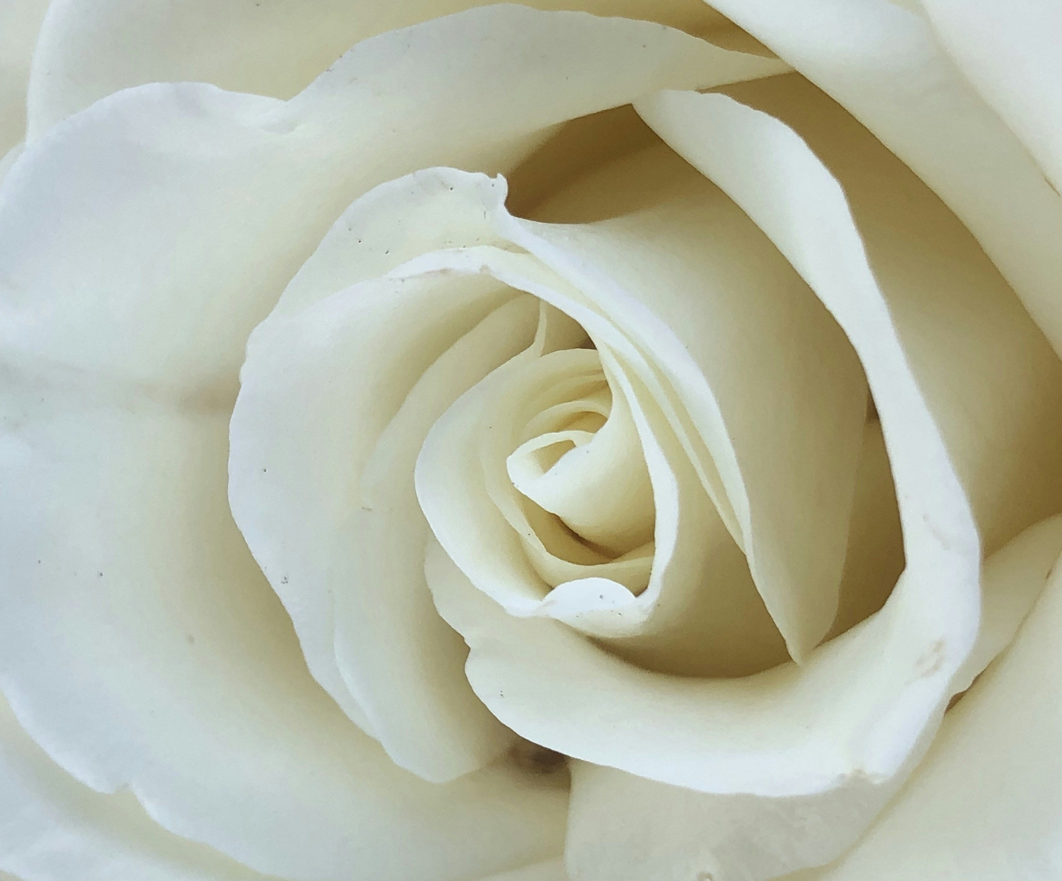 Avatar of user Yvette S