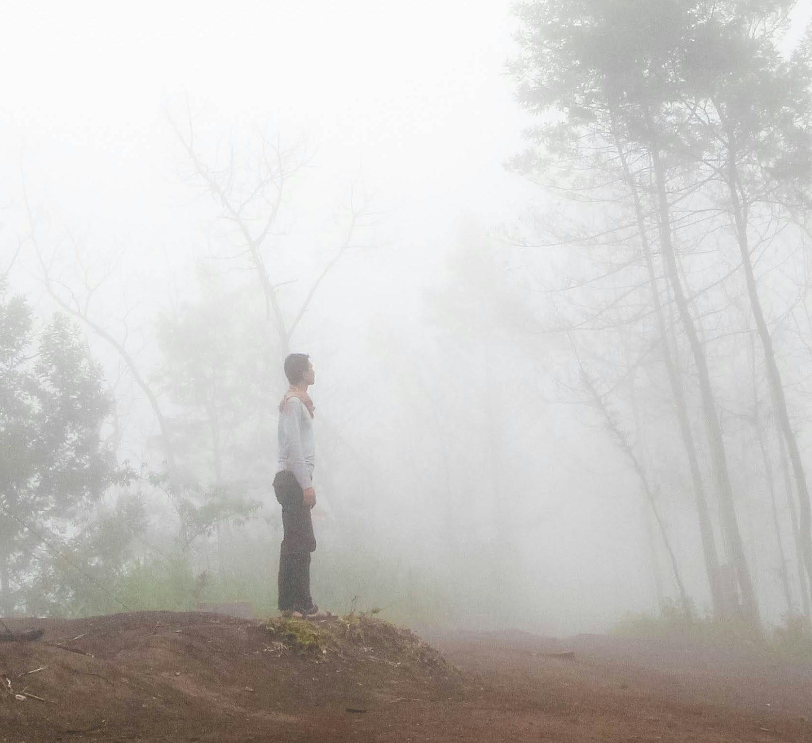 Avatar of user Marga Santoso