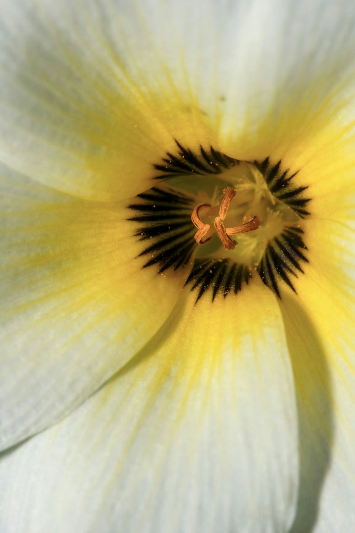 Go to Manoj S's profile