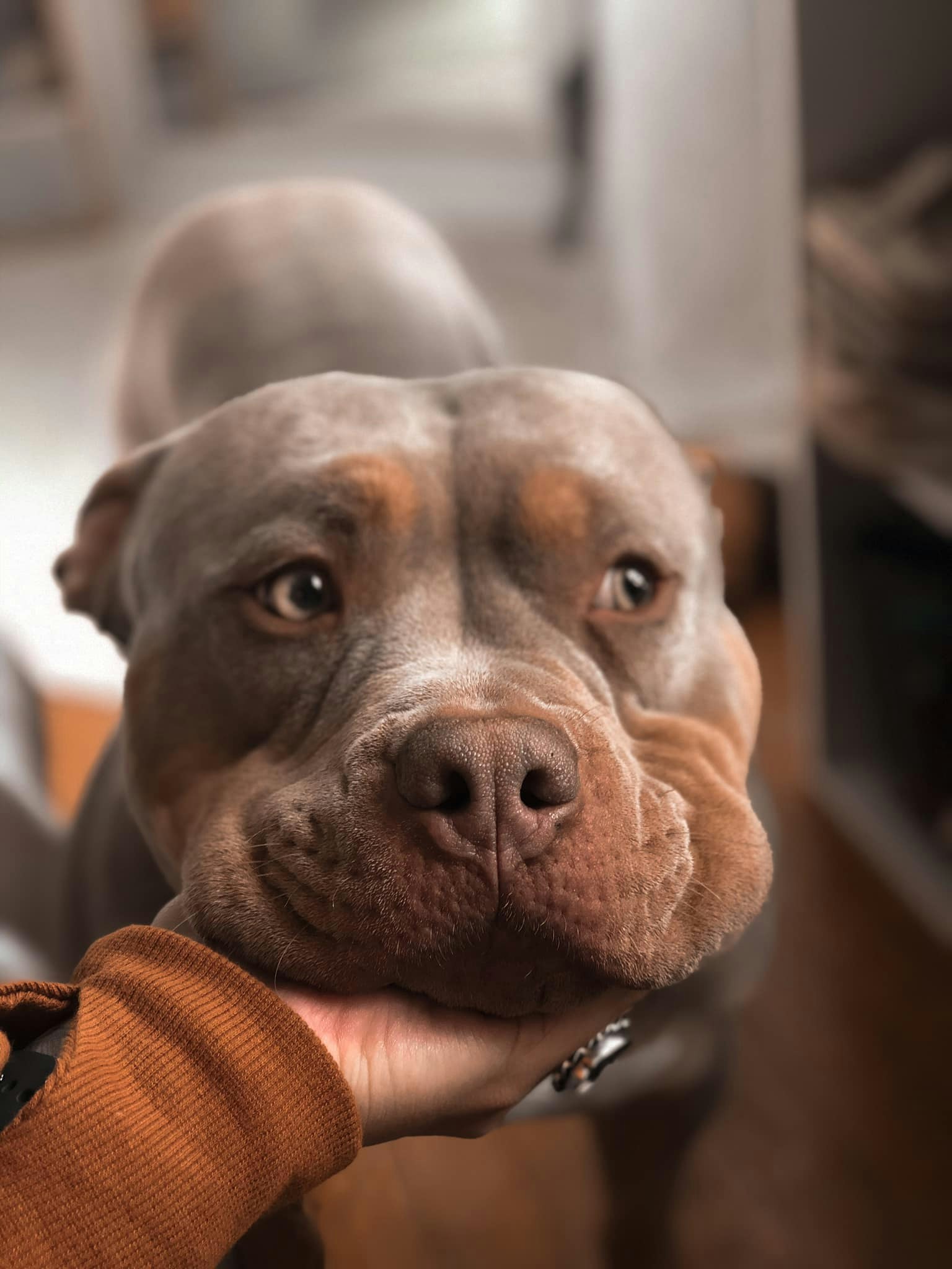 Go to Anuj Waiba's profile