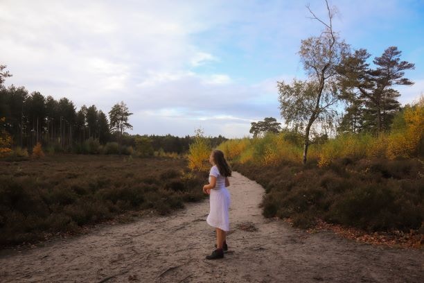 Go to Eva Wilcock's profile