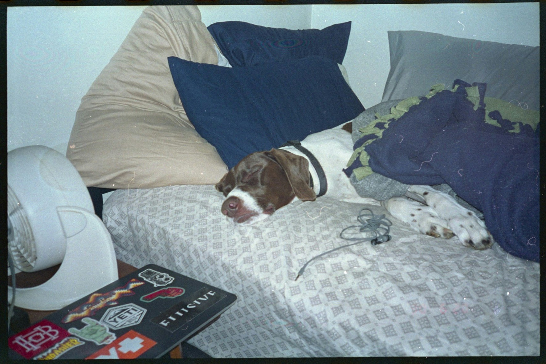 Go to Zach Wiley's profile