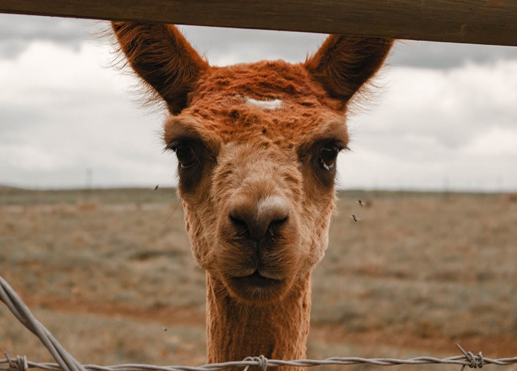 Go to Jennifer Coffin-Grey's profile