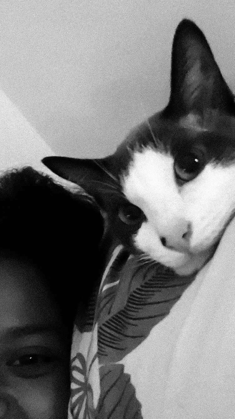 Ve al perfil de Sho Studio