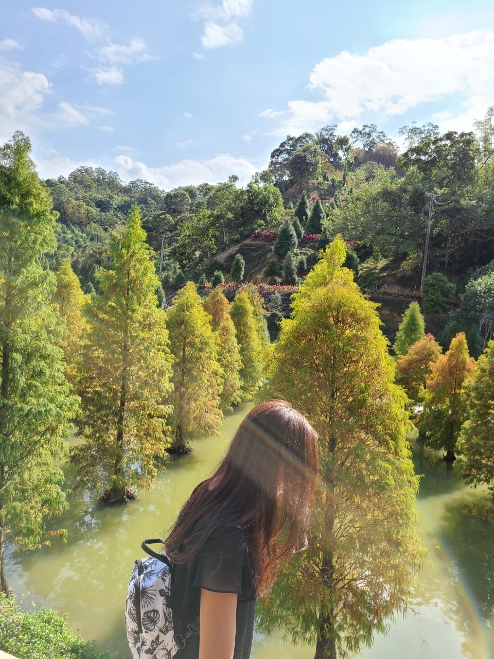 Ir para o perfil de YiChen Hang