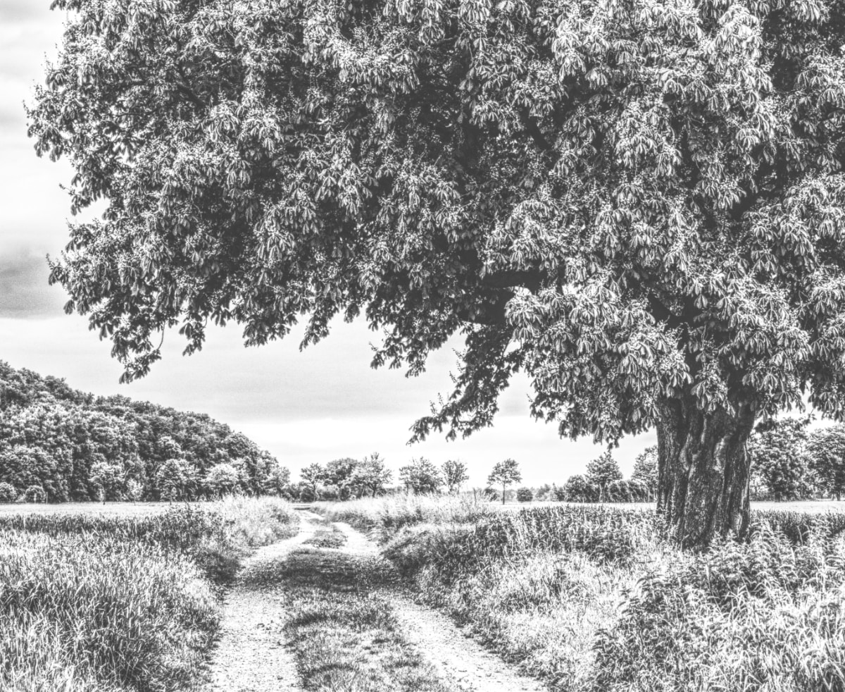 Go to Marvin Jockisch's profile