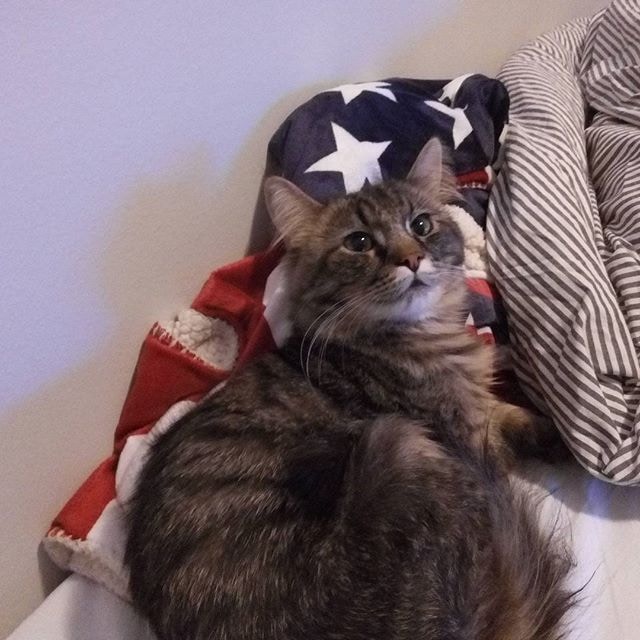 Go to LePei Visual's profile