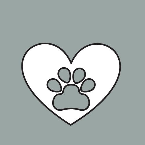 Go to Pawtography Perth's profile