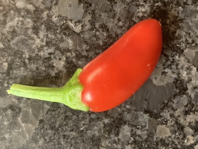 Go to Arnold Straub's profile