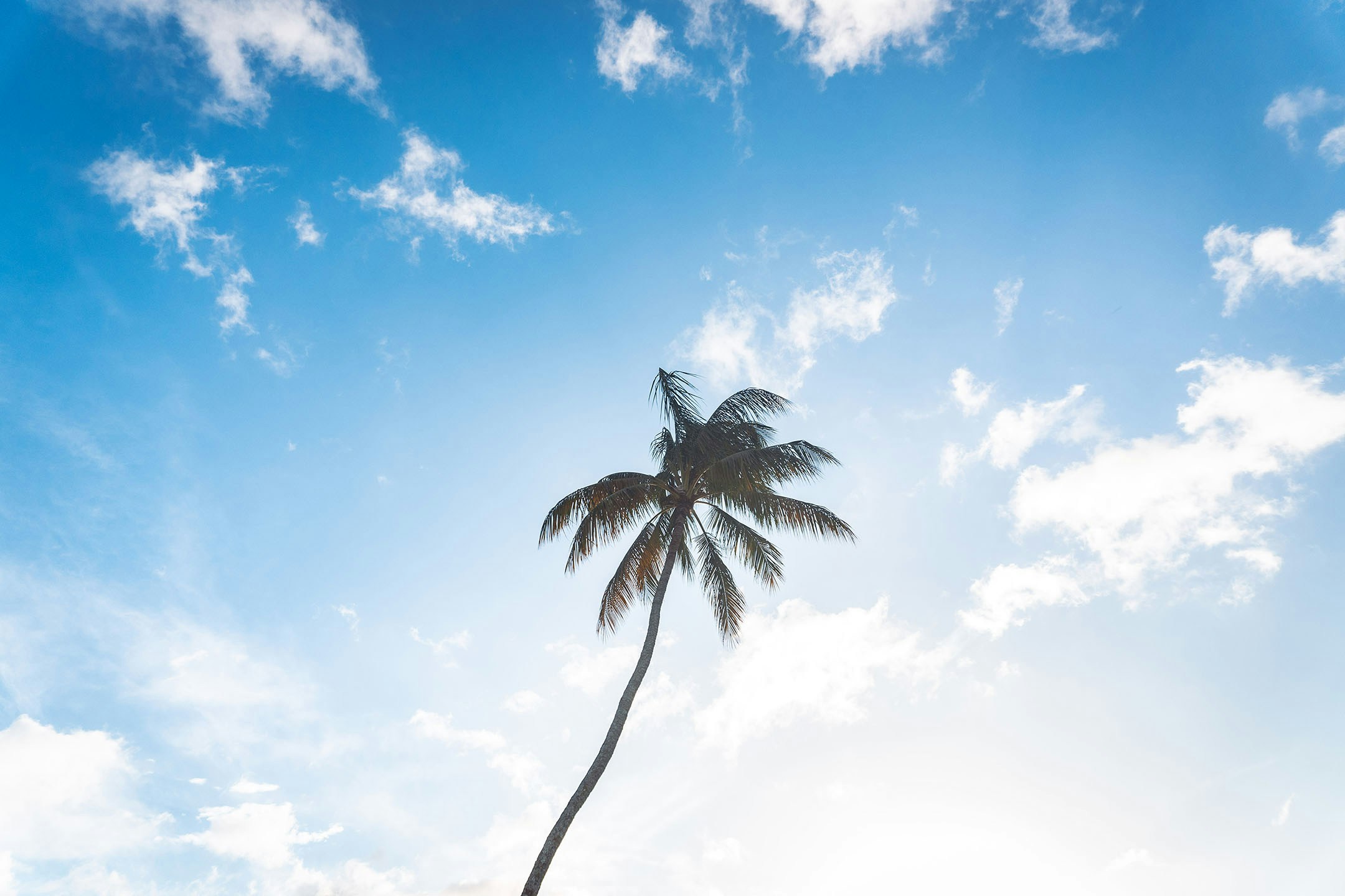 Go to tanner moran's profile