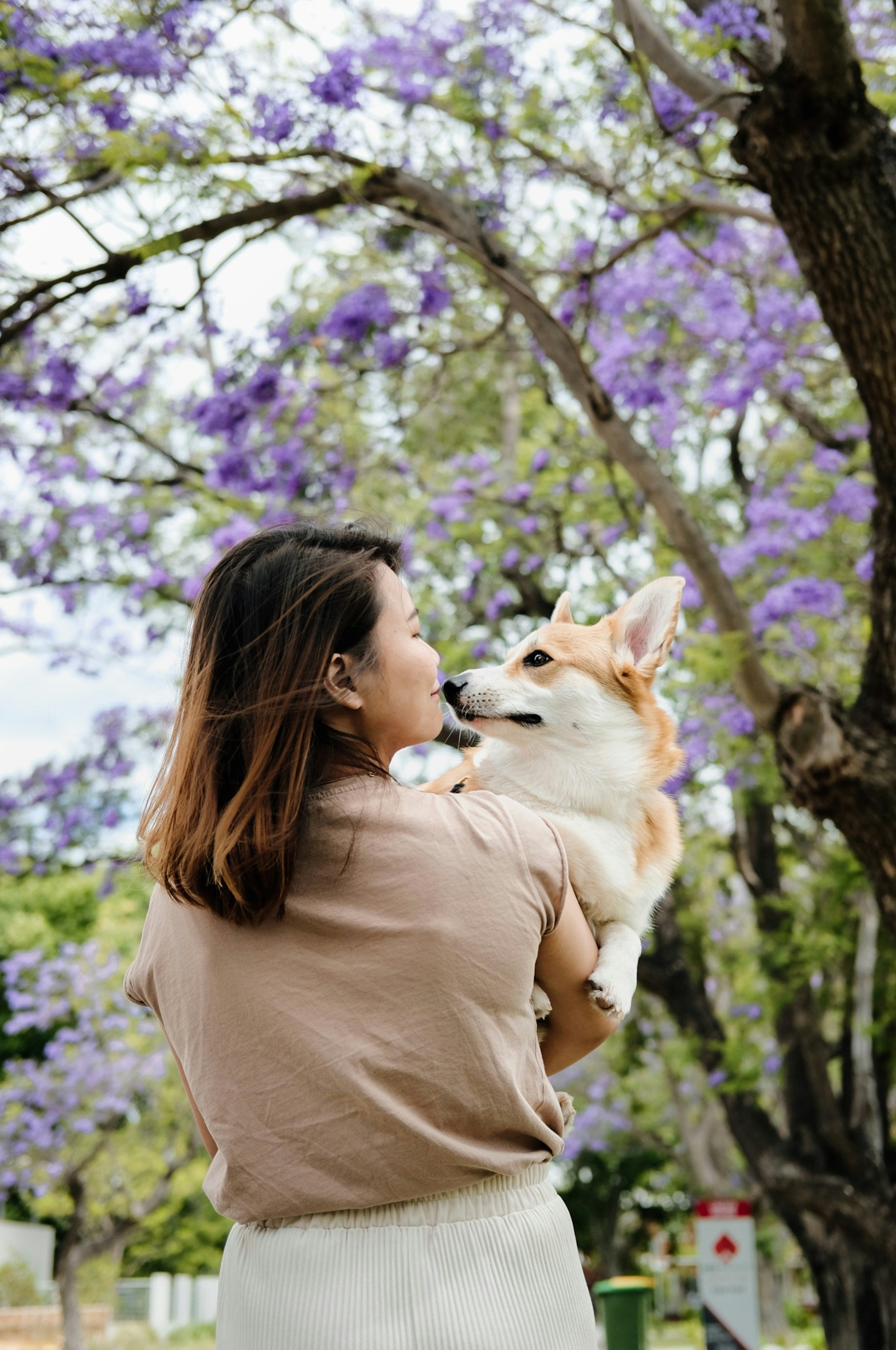 Go to Ivana La's profile