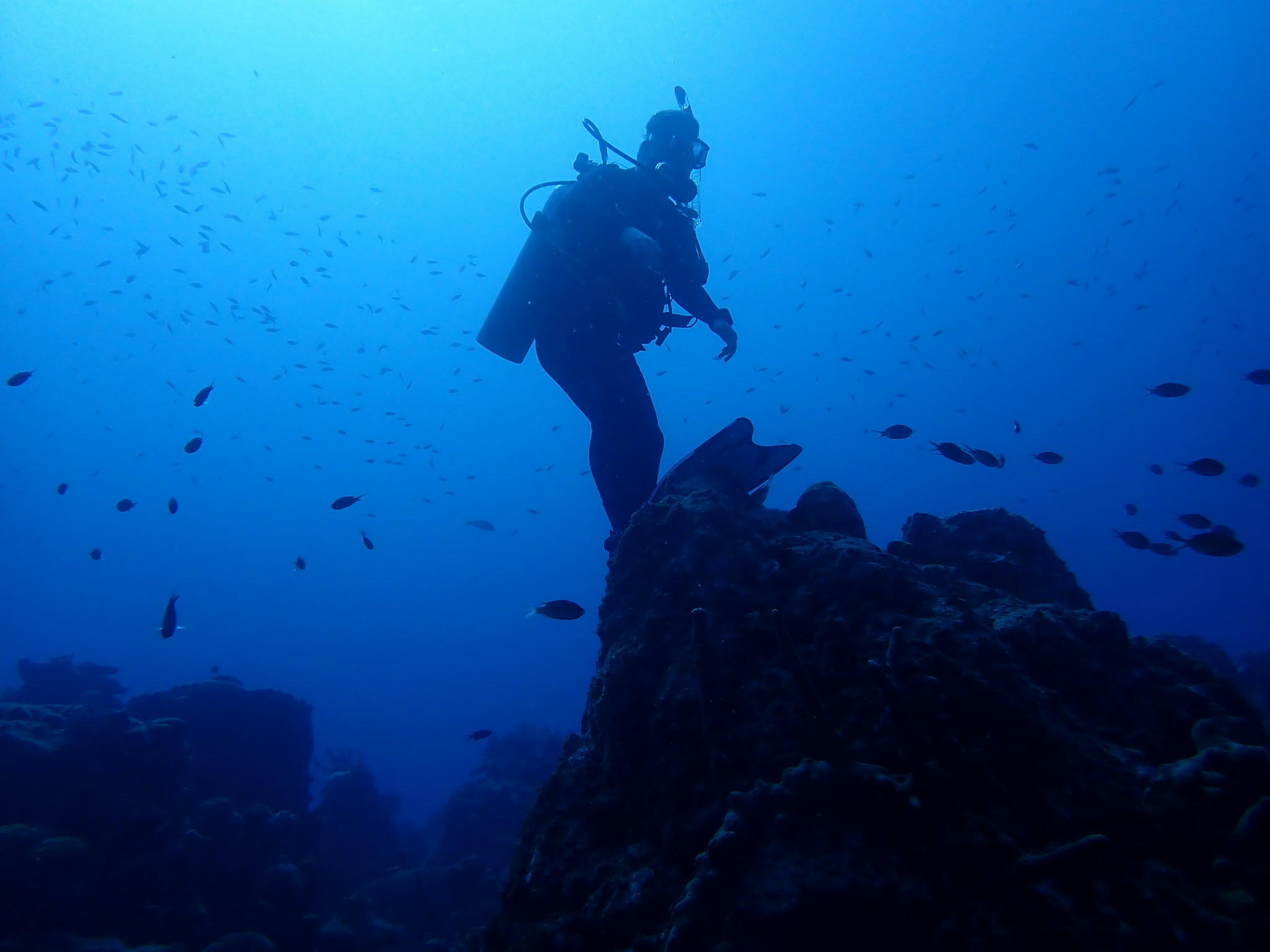 Zum Profil von Keenan Novis