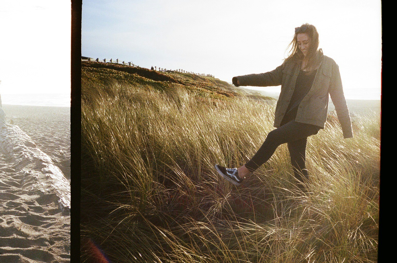 Go to Mollie Moran's profile