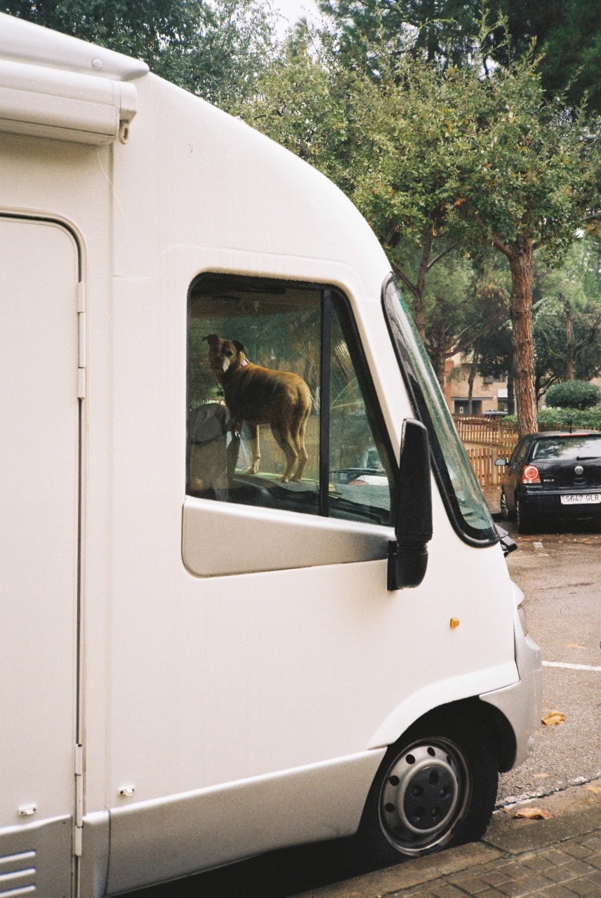 Vai al profilo di Will Creswick