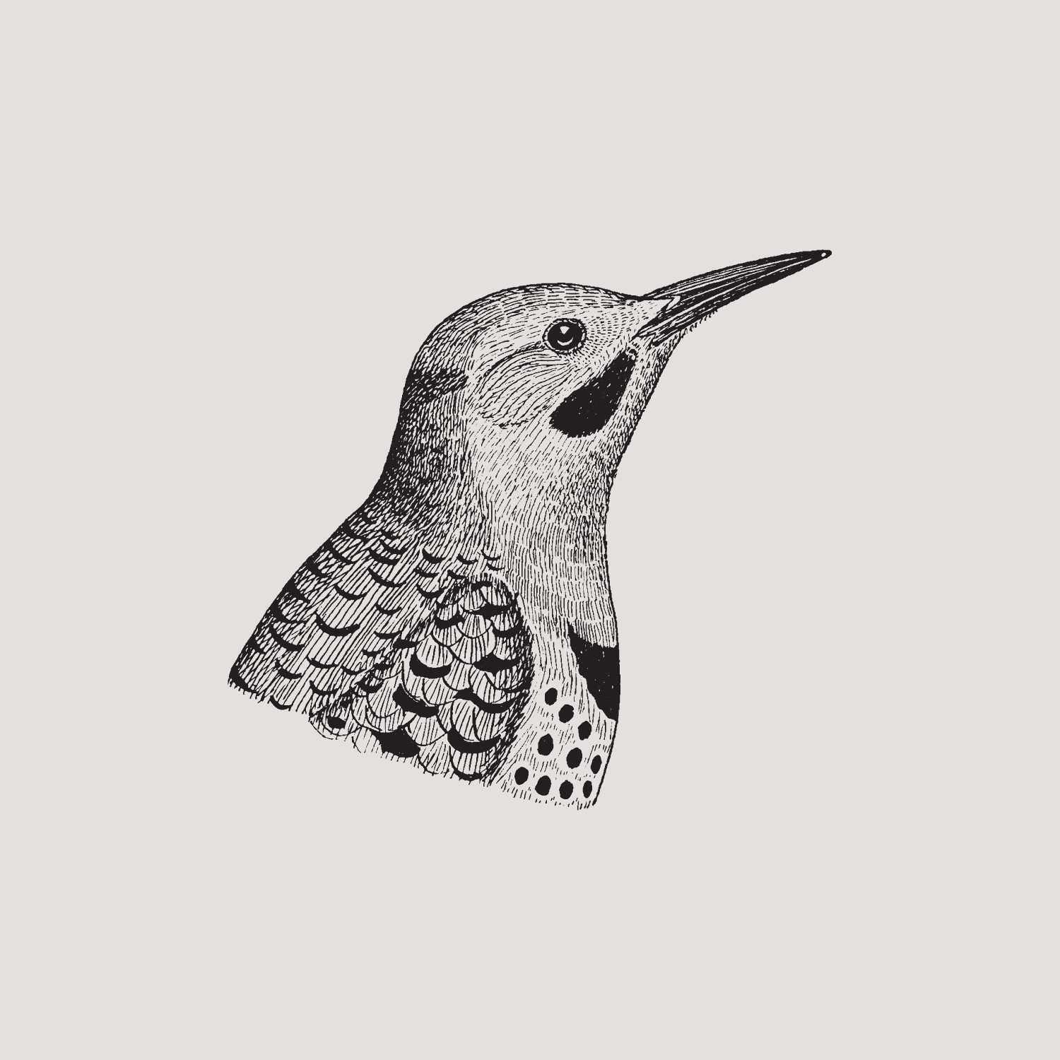 Go to Nynne Schrøder's profile