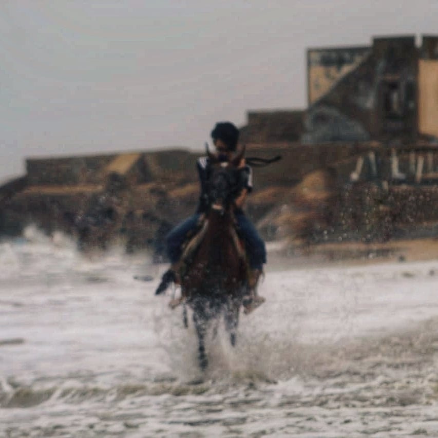 Go to Ali Kazim's profile